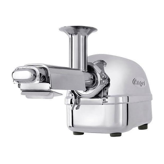 Angel Juicer 5500 Twin Gear Stainless Steel Juicer With Soft Fruit Housing Filter