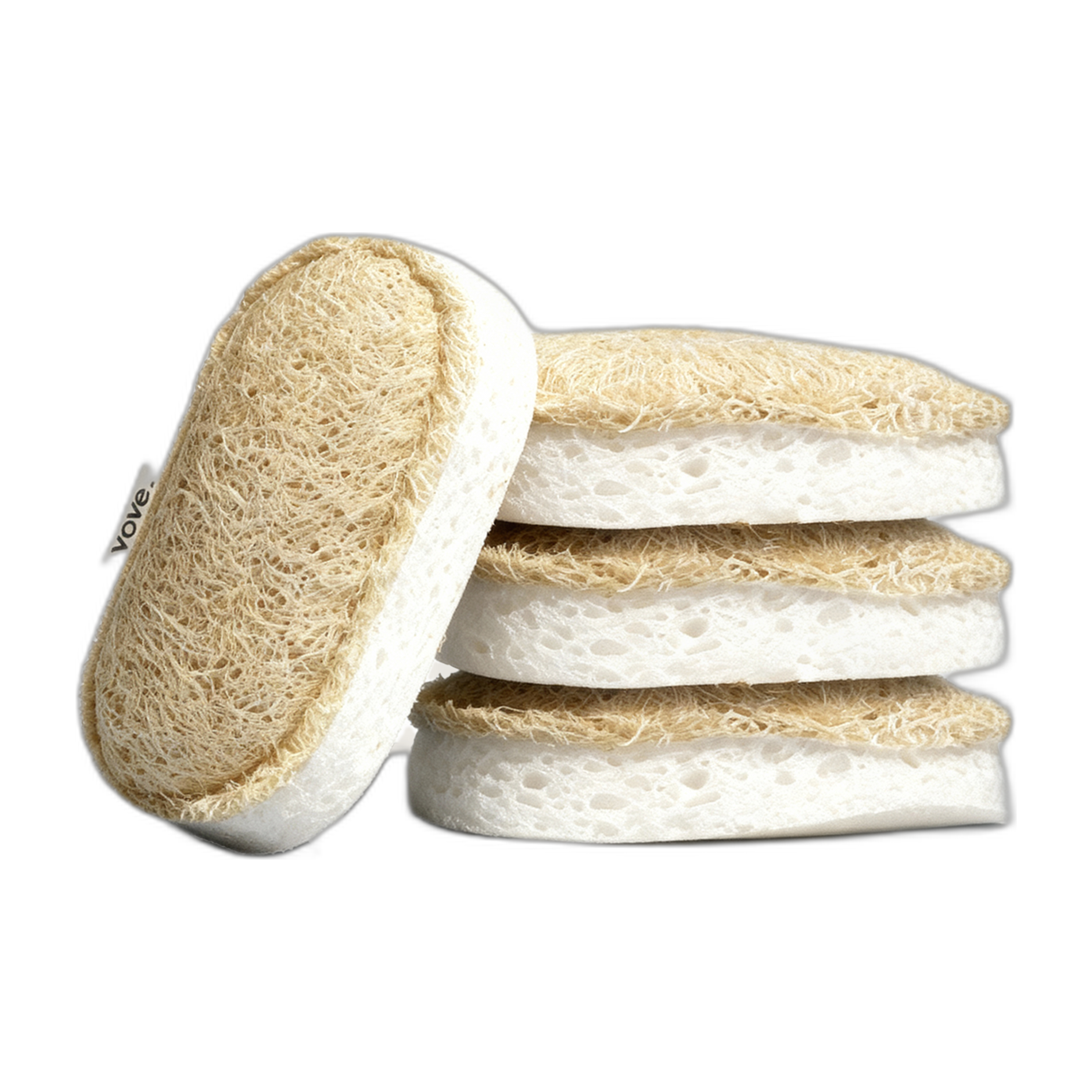 Sponge Scourers